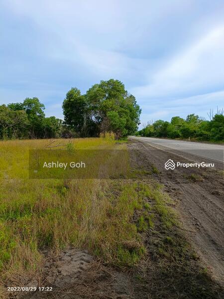 Agricultural Land for Sale in Bandar Pekan (Pekan) - Ashley Goh - PropertyGuru.com.my