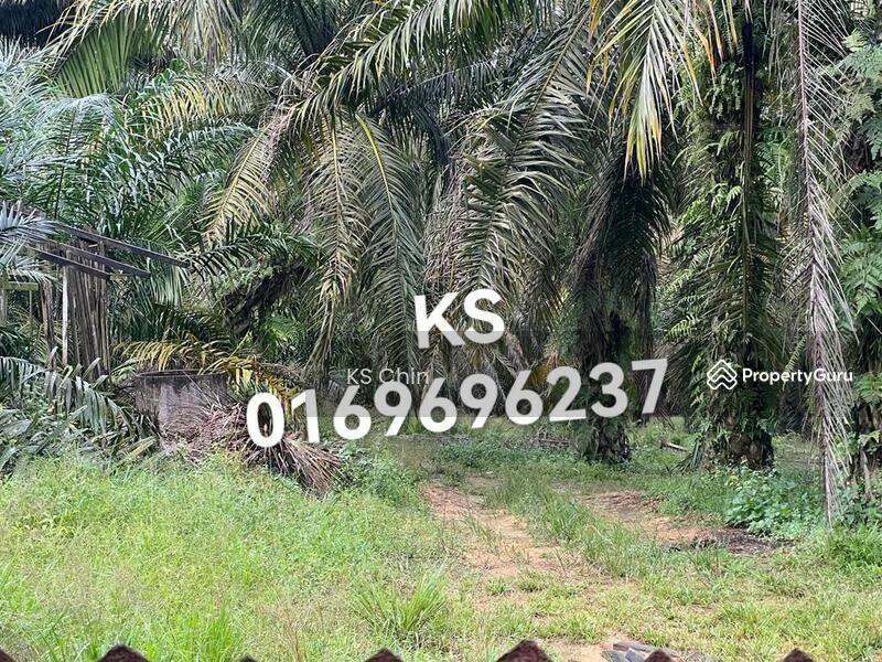 Agriculture land at Kulai, Kulai, Kulai, Johor, Agricultural Lands for