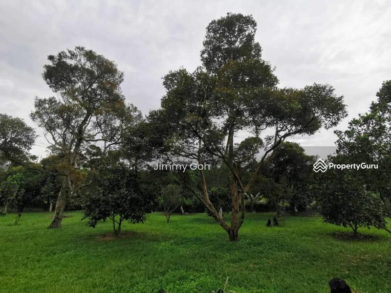 Agriculture land at Mantin, Mantin, Mantin, Negeri Sembilan