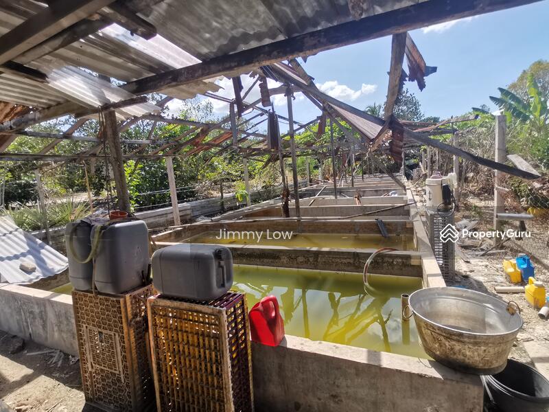 Tanah Pertanian untuk Dijual di Mantin (Negeri Sembilan) - Jimmy Low - PropertyGuru.com.my