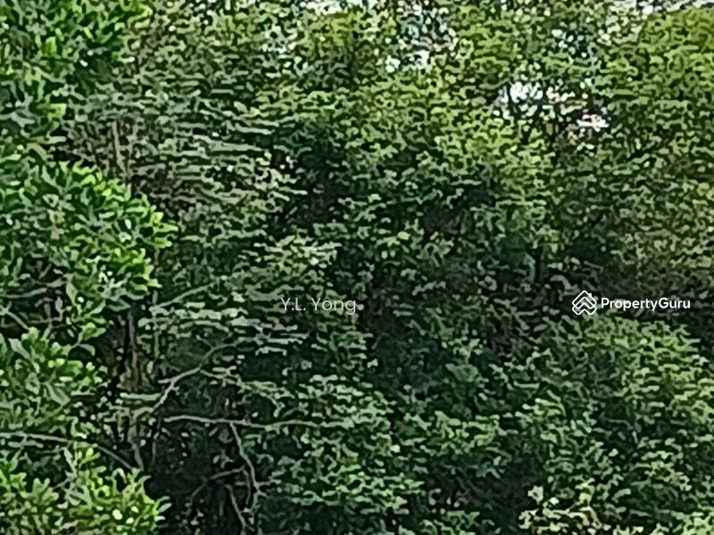Agricultural Land for Sale in Serendah (Selangor) - Y.L. Yong - PropertyGuru.com.my