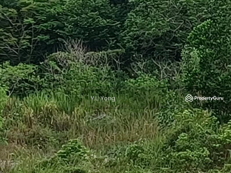 Agricultural Land for Sale in Serendah (Selangor) - Y.L. Yong - PropertyGuru.com.my