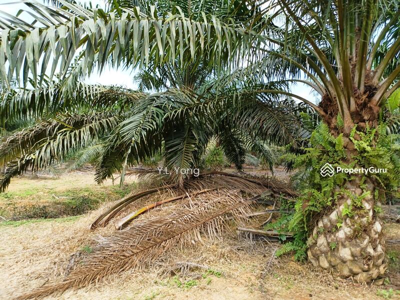 For Sale - Commercial Land @ Kuchai Lama