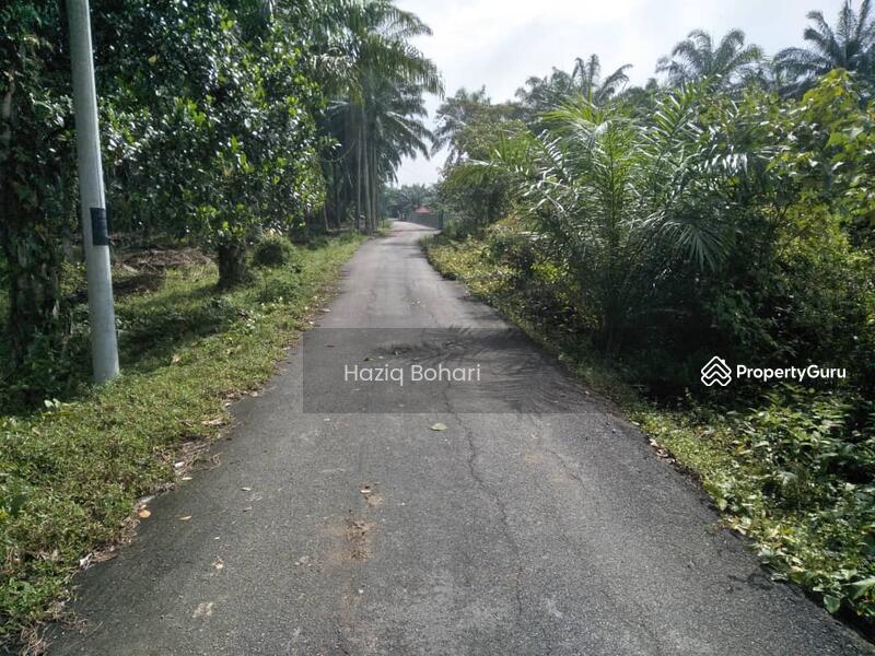 Untuk Dijual - Tanah 1 Ekar Bukit Badong, Bestari Jaya, Ijok Kuala Selangor