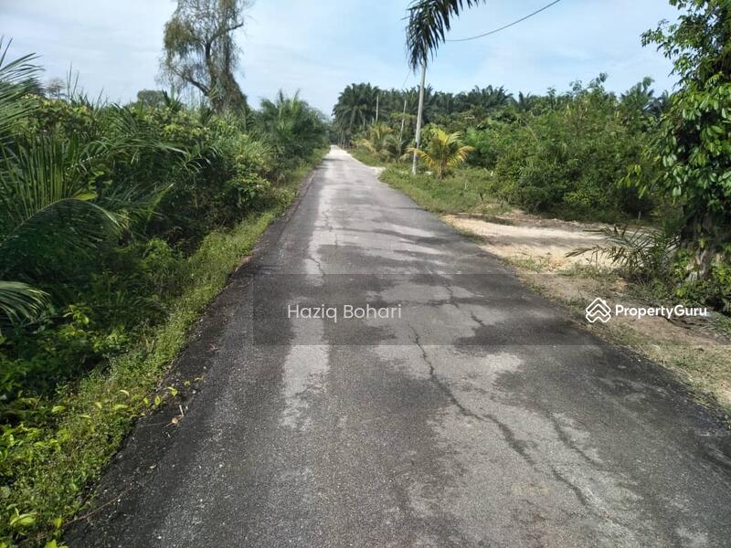 Untuk Dijual - Tanah 1 Ekar Bukit Badong, Bestari Jaya, Ijok Kuala Selangor