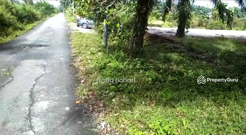 Untuk Dijual - Tanah 1 Ekar Bukit Badong, Bestari Jaya, Ijok Kuala Selangor
