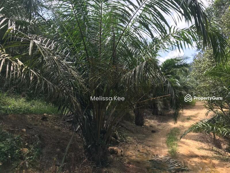 Agriculture land for sale Mukim of Johol, Kuala Pilah, Negeri