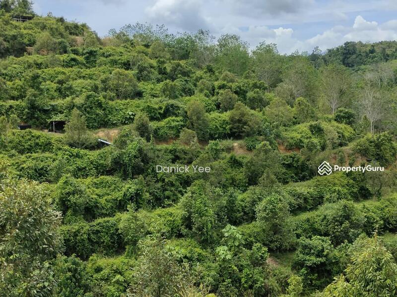 durian johol, kuala pilah negeri sembilan 6 acre land, Johol, Kuala