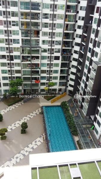 Untuk Dijual - Zeva @ Equine South