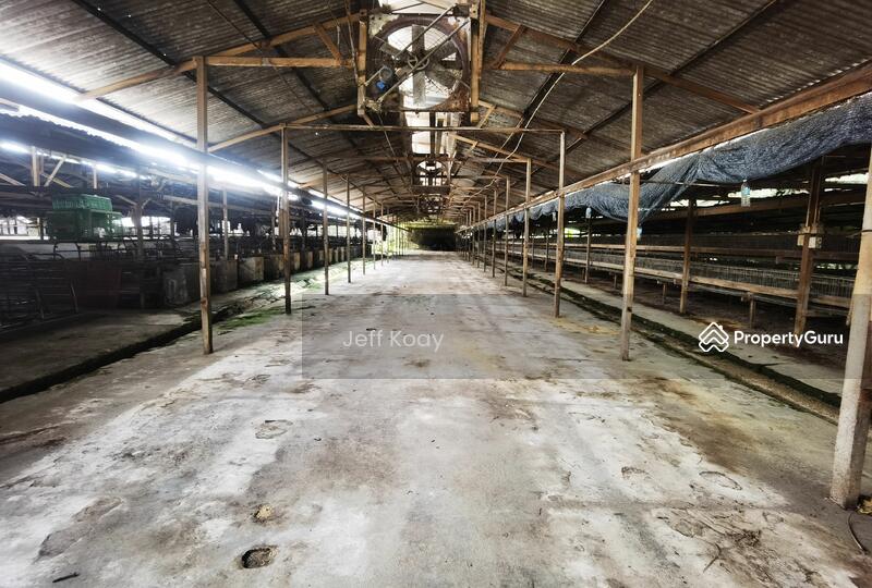 Warehouse for Rent in Seberang Perai (Penang) - Jeff Koay - PropertyGuru.com.my