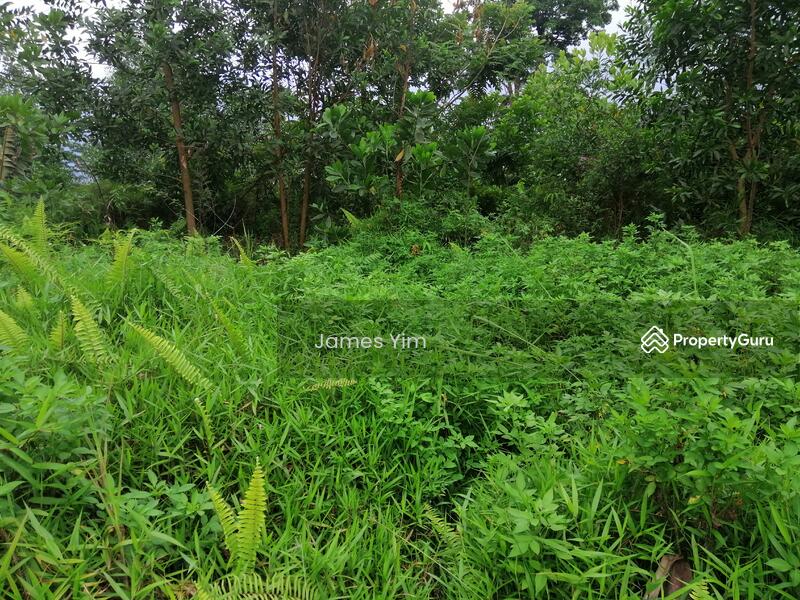 land 1