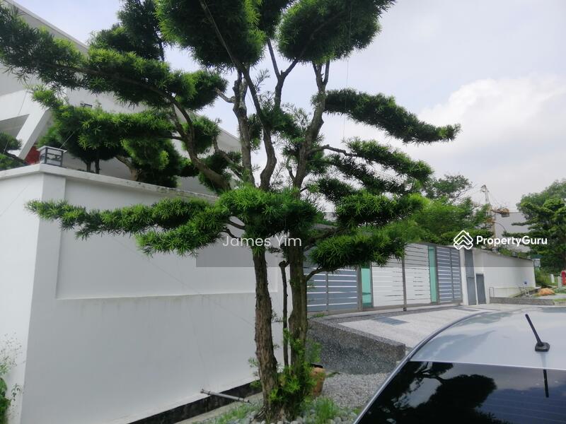 neighbour 8