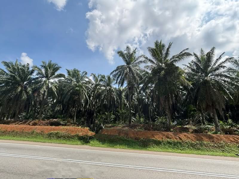 Commercial Land for Sale in Taman Masai Utama (Masai) - Eva Tan - Exterior - PropertyGuru.com.my