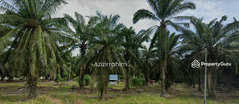 For Sale - Tanah Pertanian Zoning Bangunan Gunung Tunggal Pengkalan Baharu Perak