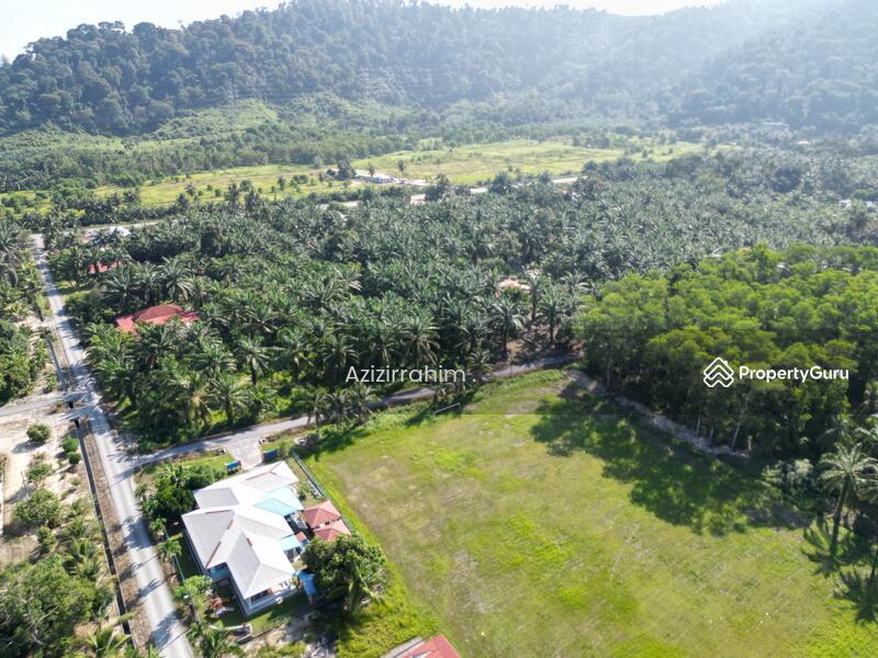 For Sale - Tanah Pertanian Zoning Bangunan Gunung Tunggal Pengkalan Baharu Perak