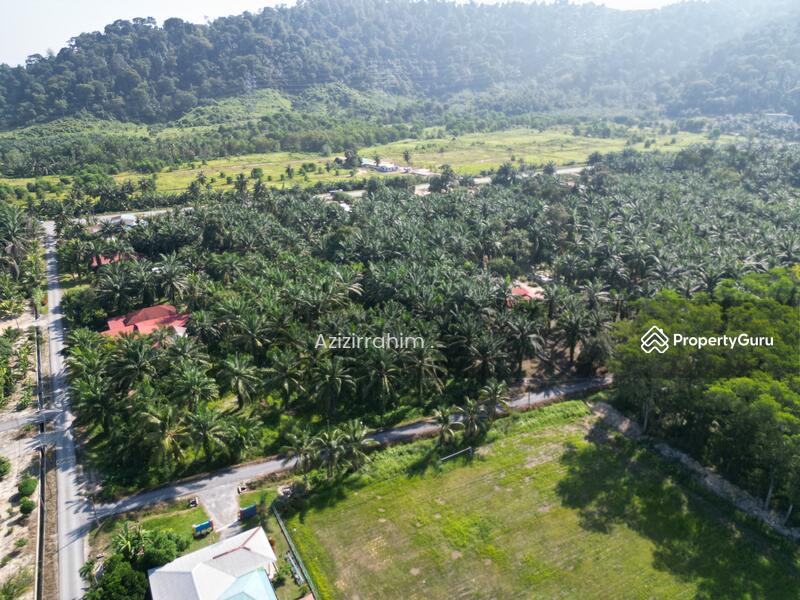 For Sale - Tanah Pertanian Zoning Bangunan Gunung Tunggal Pengkalan Baharu Perak