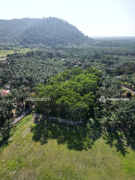 For Sale - Tanah Pertanian Zoning Bangunan Gunung Tunggal Pengkalan Baharu Perak