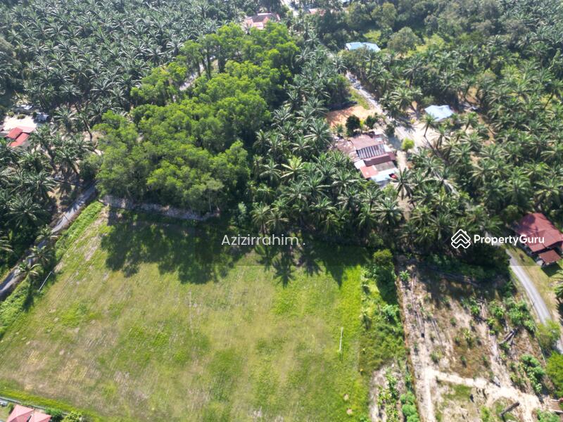 For Sale - Tanah Pertanian Zoning Bangunan Gunung Tunggal Pengkalan Baharu Perak