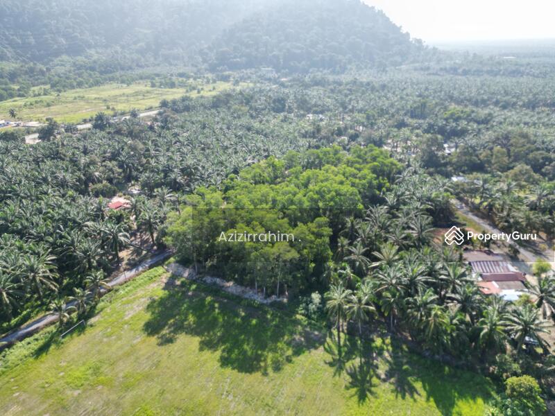 For Sale - Tanah Pertanian Zoning Bangunan Gunung Tunggal Pengkalan Baharu Perak