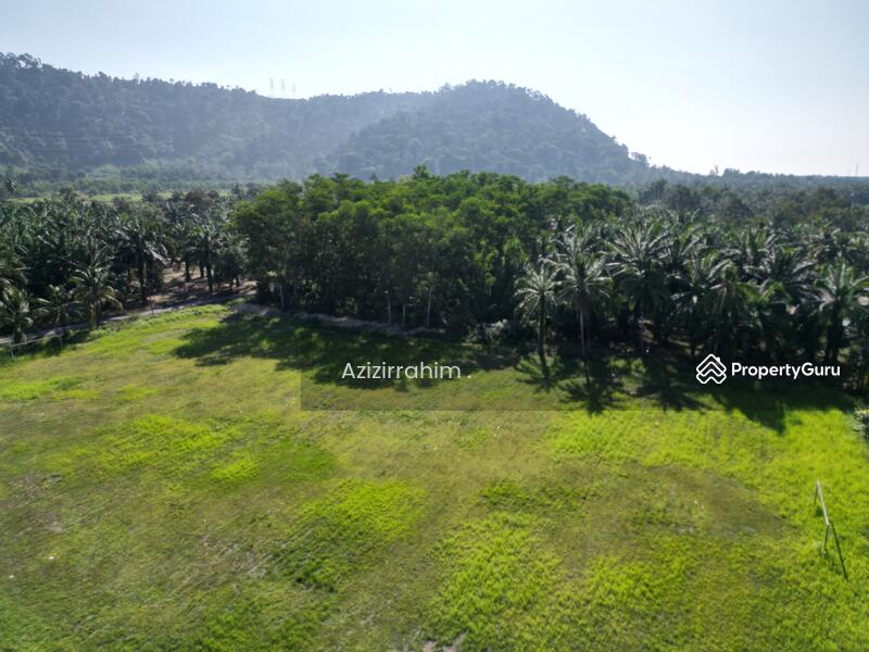 For Sale - Tanah Pertanian Zoning Bangunan Gunung Tunggal Pengkalan Baharu Perak