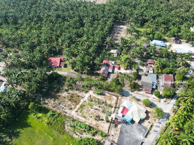 For Sale - Tanah Pertanian Zoning Bangunan Gunung Tunggal Pengkalan Baharu Perak