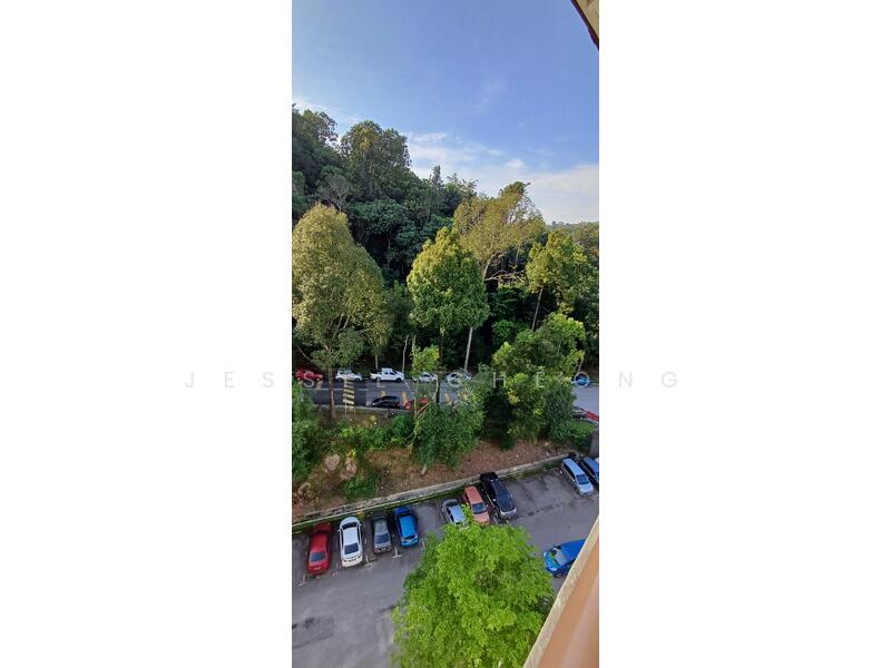 For Sale - Paradesa Rustica