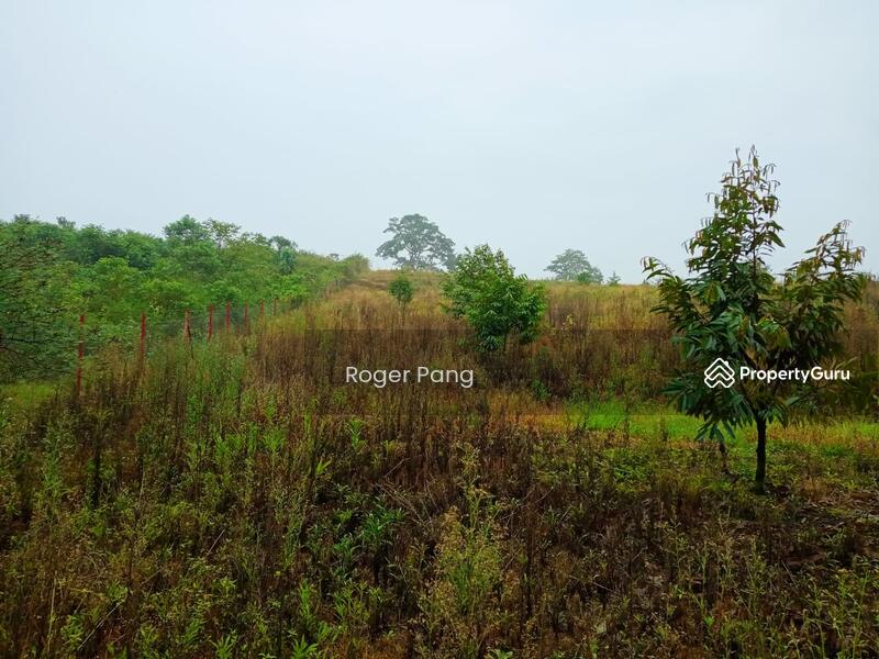 Pertang 6.85acre Durian Orchard Negeri Sembilan For Sale, Simpang