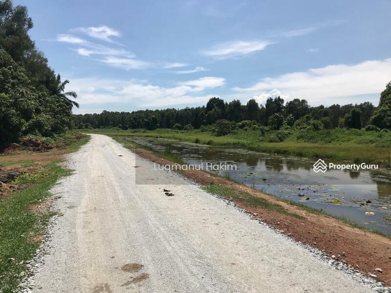 Agriculture Land (Tanah Landai), Pasir Panjang, Port Dickson, Negeri
