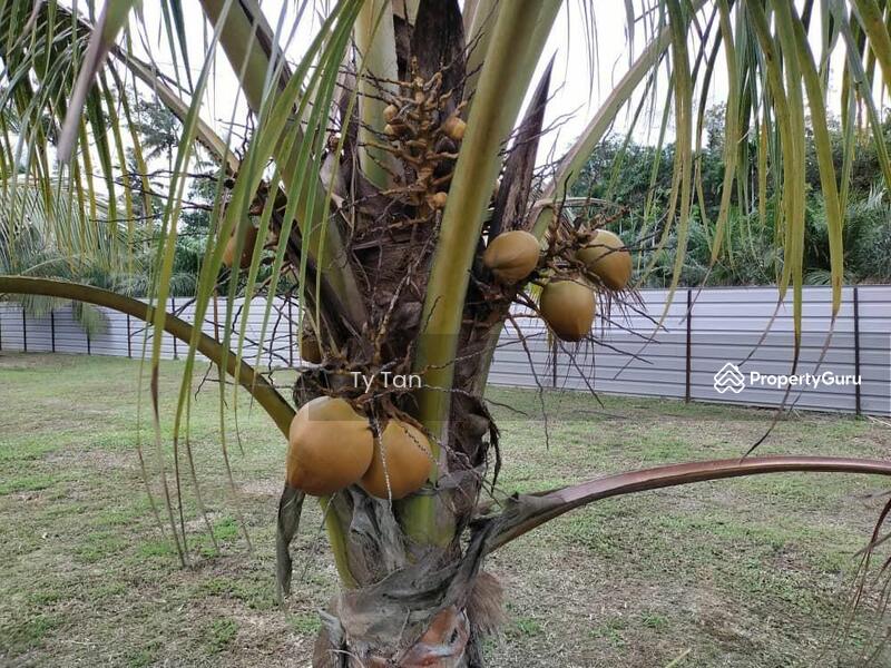 Agricultural Land for Sale in Kota Tinggi (Johor) - Ty Tan - PropertyGuru.com.my