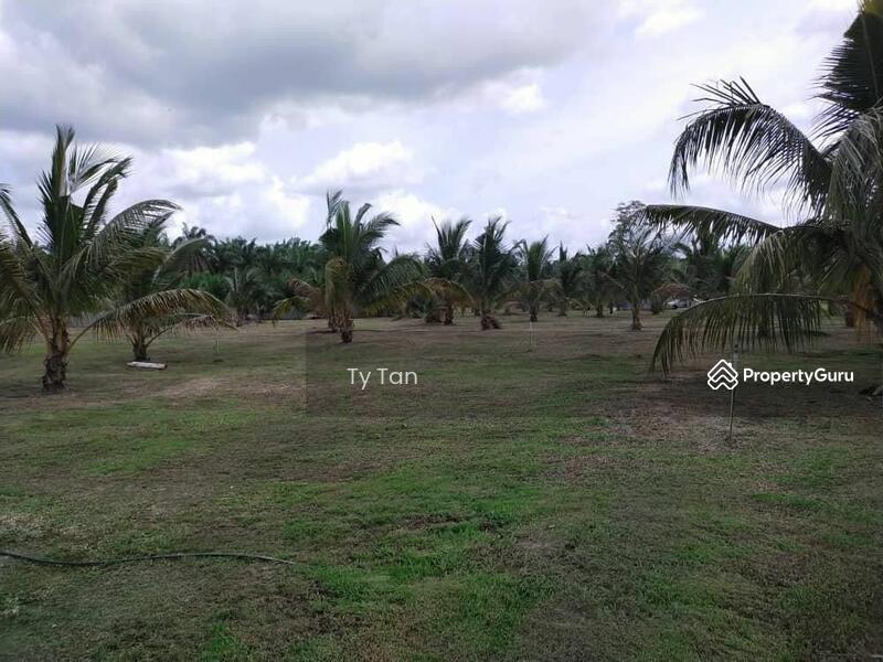 Agricultural Land for Sale in Kota Tinggi (Johor) - Ty Tan - PropertyGuru.com.my