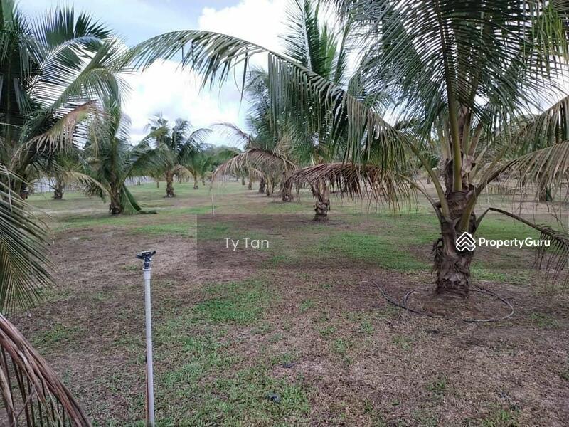 Agricultural Land for Sale in Kota Tinggi (Johor) - Ty Tan - PropertyGuru.com.my