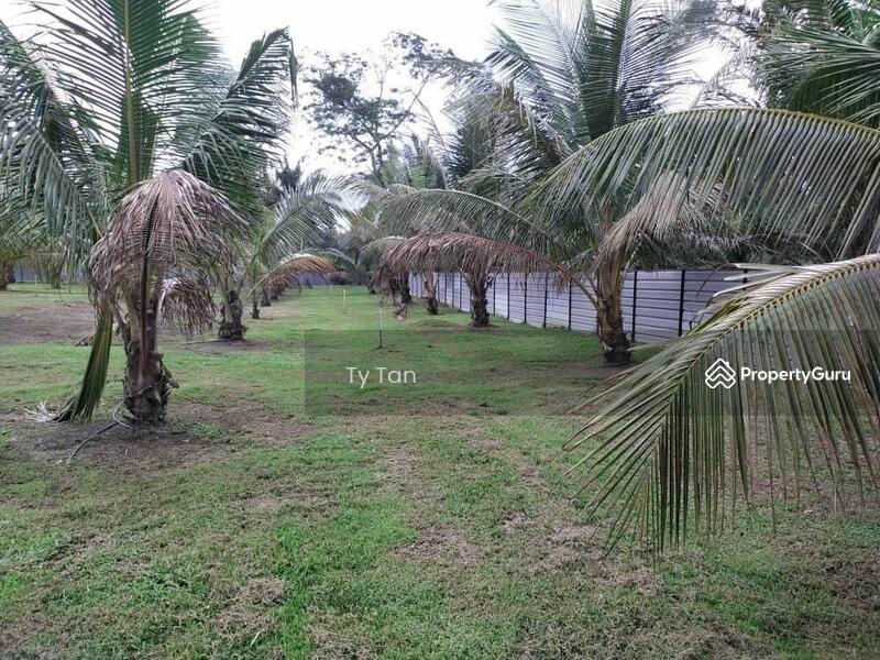 Agricultural Land for Sale in Kota Tinggi (Johor) - Ty Tan - PropertyGuru.com.my