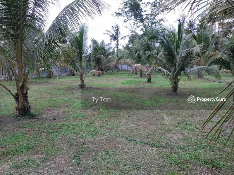 Agricultural Land for Sale in Kota Tinggi (Johor) - Ty Tan - PropertyGuru.com.my