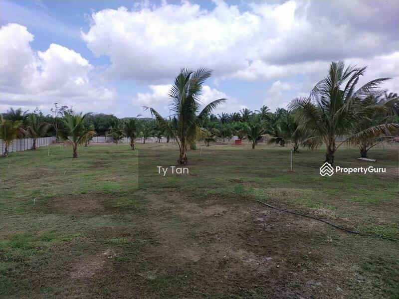 Agricultural Land for Sale in Kota Tinggi (Johor) - Ty Tan - PropertyGuru.com.my