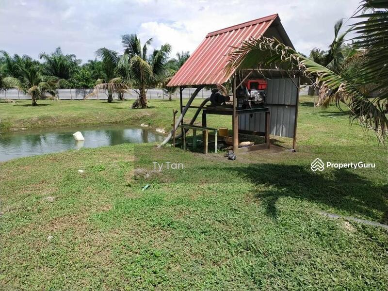 Agricultural Land for Sale in Kota Tinggi (Johor) - Ty Tan - PropertyGuru.com.my