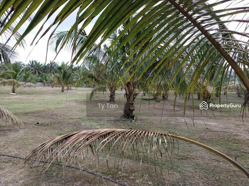 Agricultural Land for Sale in Kota Tinggi (Johor) - Ty Tan - PropertyGuru.com.my
