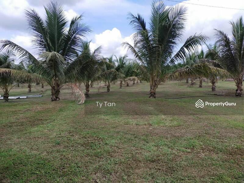 Agricultural Land for Sale in Kota Tinggi (Johor) - Ty Tan - PropertyGuru.com.my