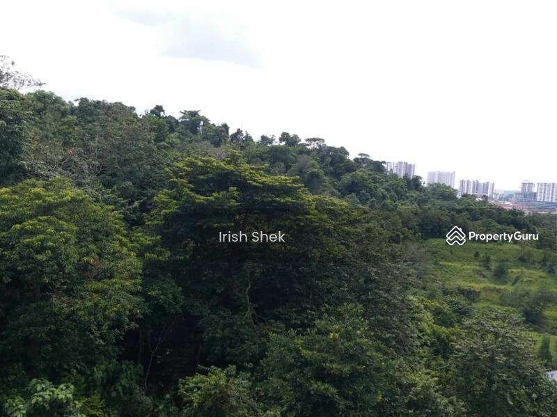 Kondominium untuk Disewa di Sutera Pines - Irish Shek - PropertyGuru.com.my
