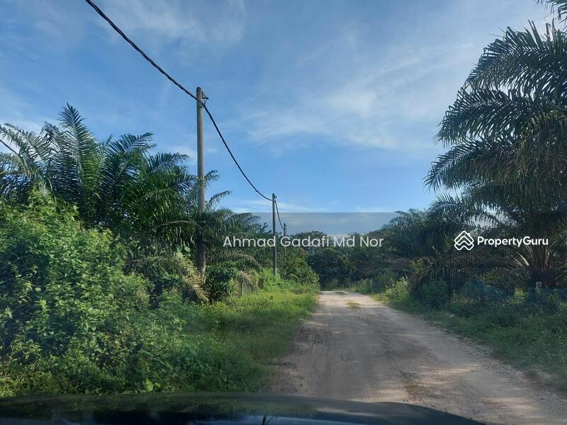 4.2 Acre Kebun Sawit, Kg Kelawar Tanjung Malim Near Behrang Freehold