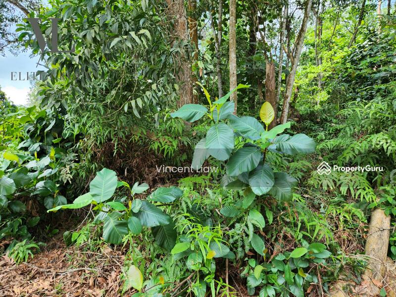 For Sale - Rimba Valley @ Section 9