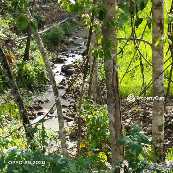 Genting View Resort, Genting Highlands, Genting View Resort, Genting