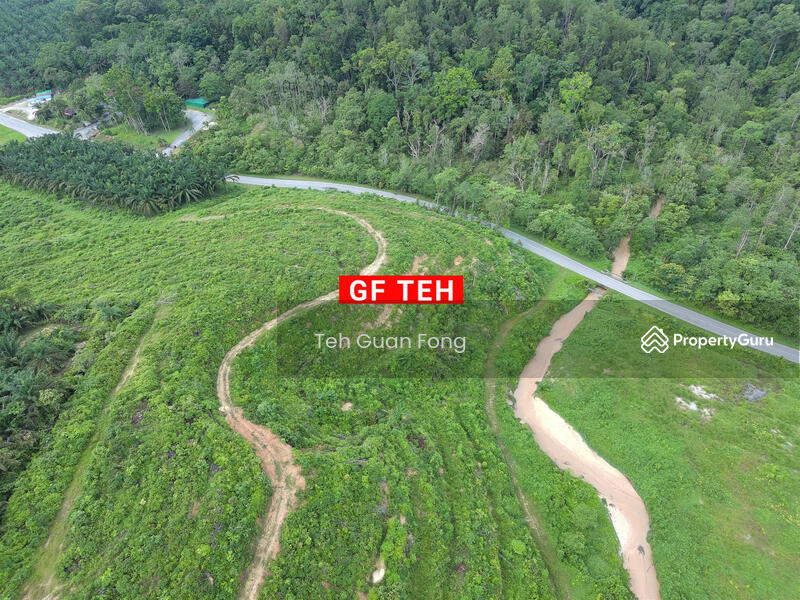 51.7 acres Main Roan Agricultural Land Karangan Kulim KEDAH
