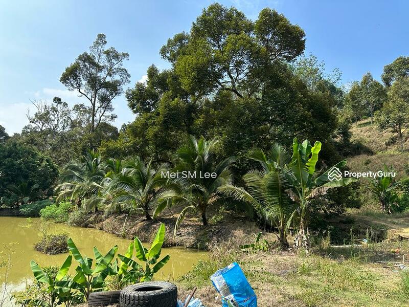 Acacia, Bentong, Pahang