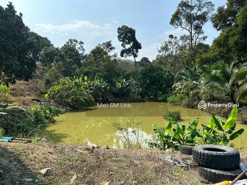 Acacia, Bentong, Pahang