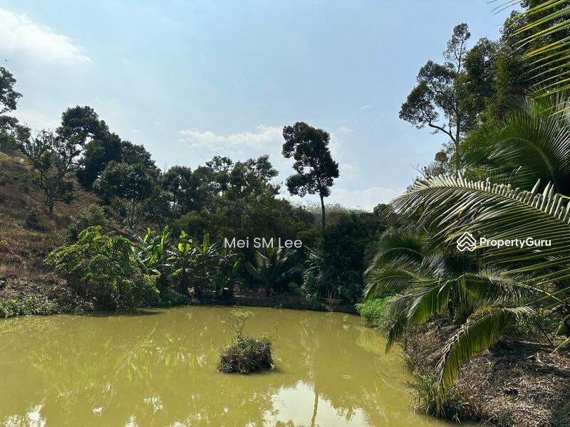 Acacia, Bentong, Pahang