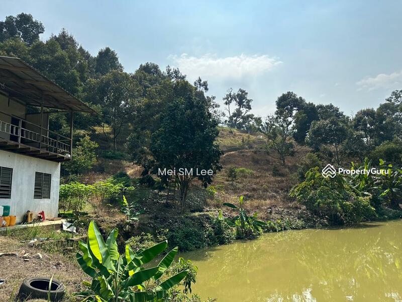 Acacia, Bentong, Pahang