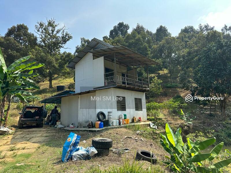Acacia, Bentong, Pahang