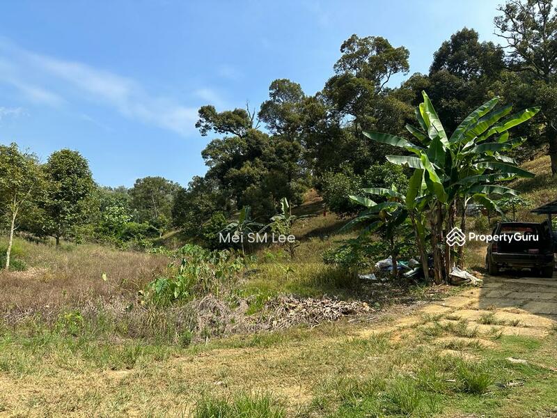 Acacia, Bentong, Pahang