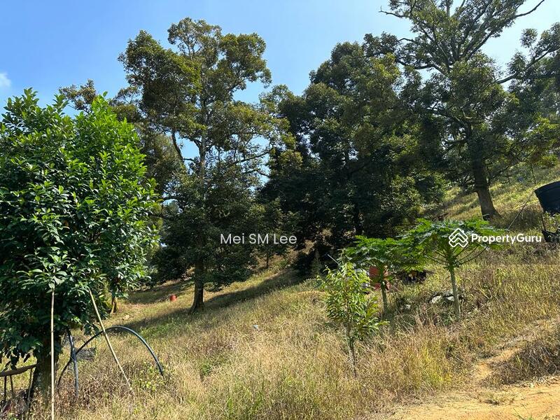 Acacia, Bentong, Pahang