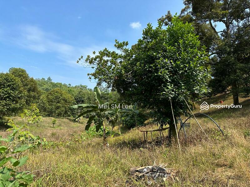Acacia, Bentong, Pahang